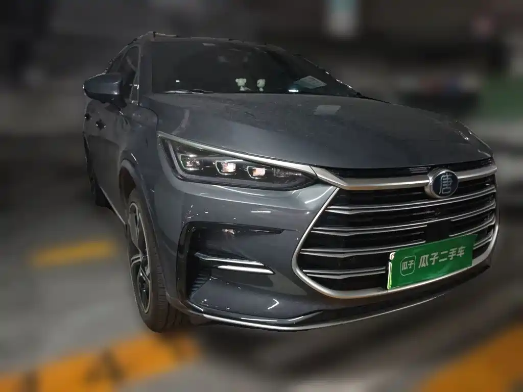 BYD Tang New Energy — фото 3