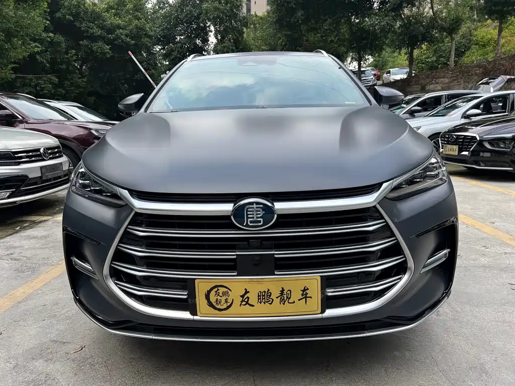BYD Tang New Energy — фото 2