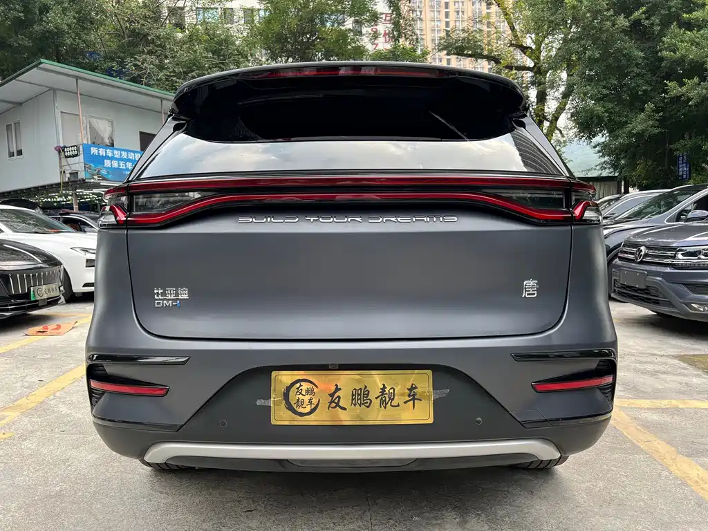 BYD Tang New Energy — фото 17