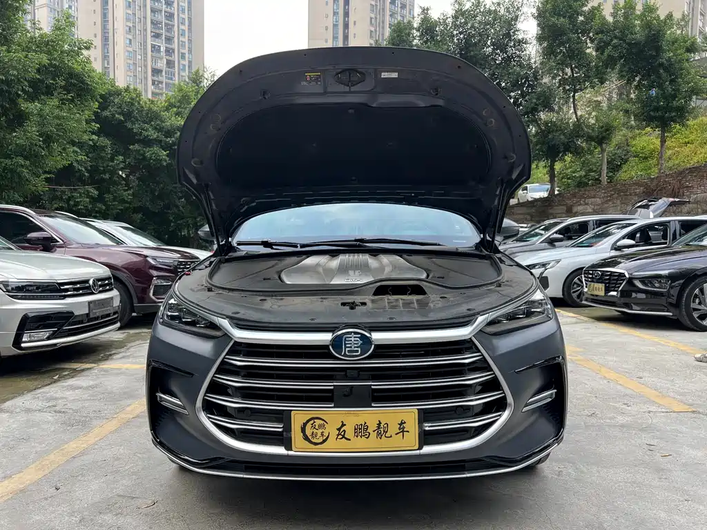 BYD Tang New Energy — фото 22