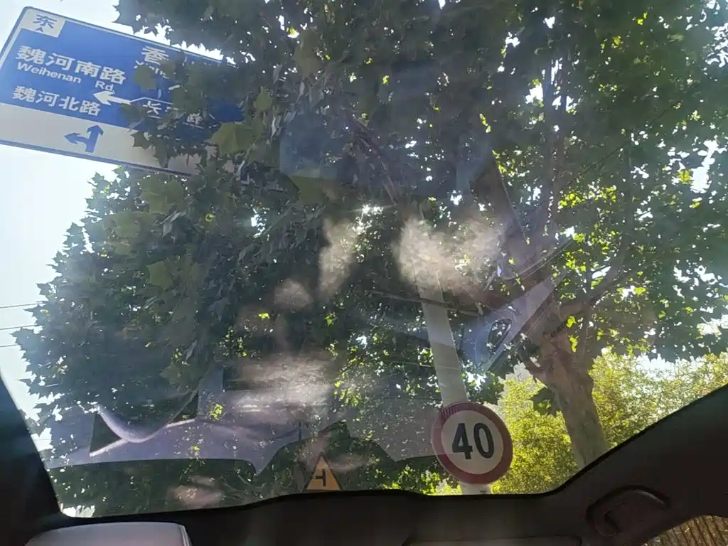 BYD Seal — фото 13