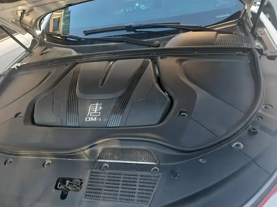 BYD Tang New Energy — фото 10