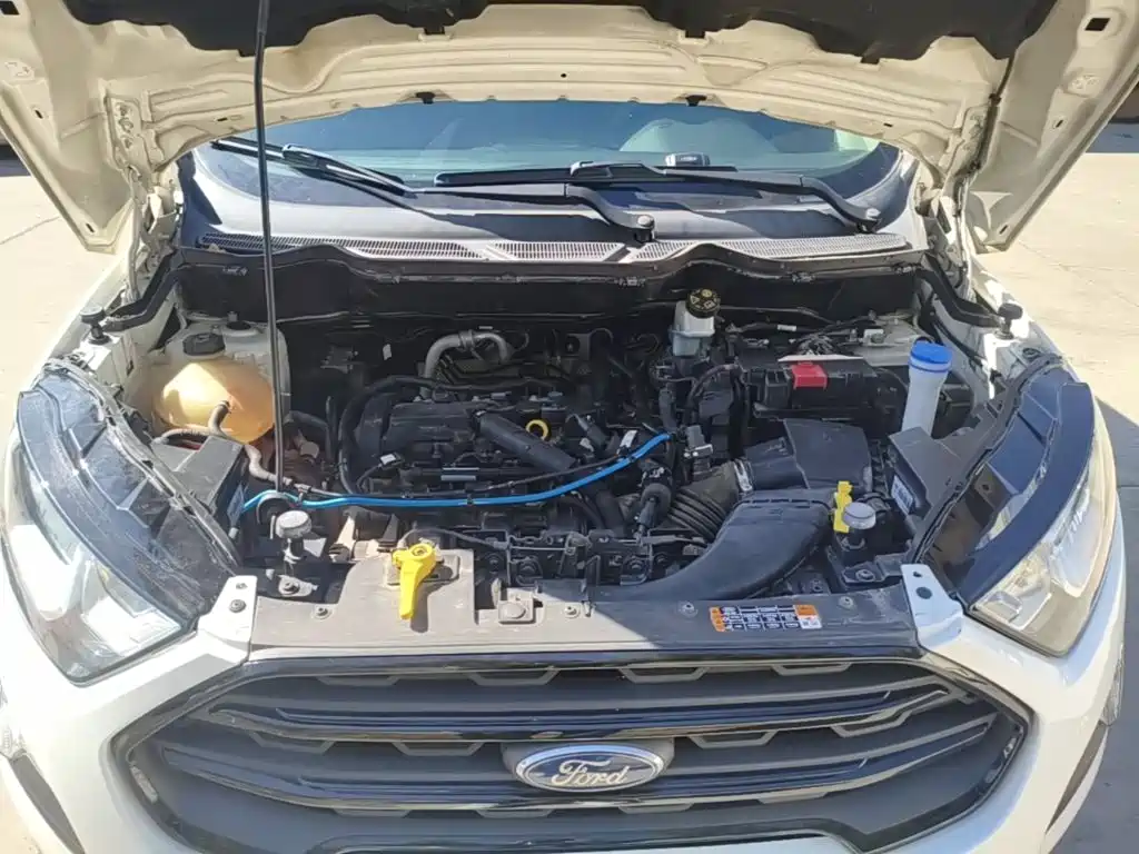 Ford Ecosport — фото 19