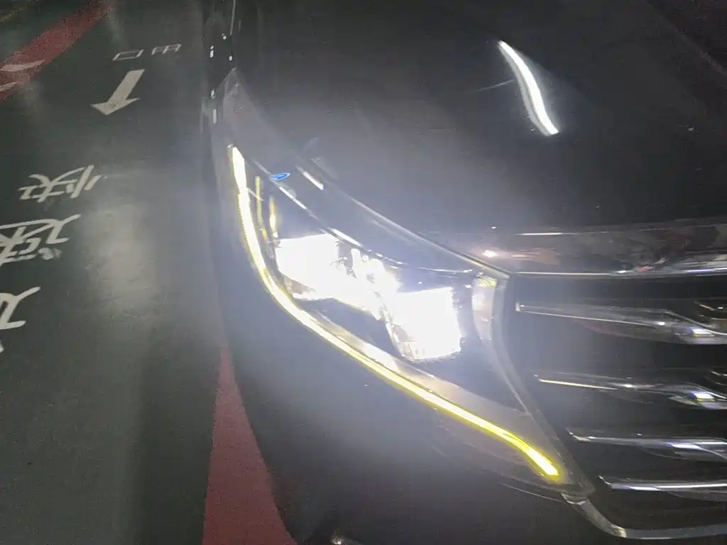 GAC Motor Trumpchi M8 — фото 7