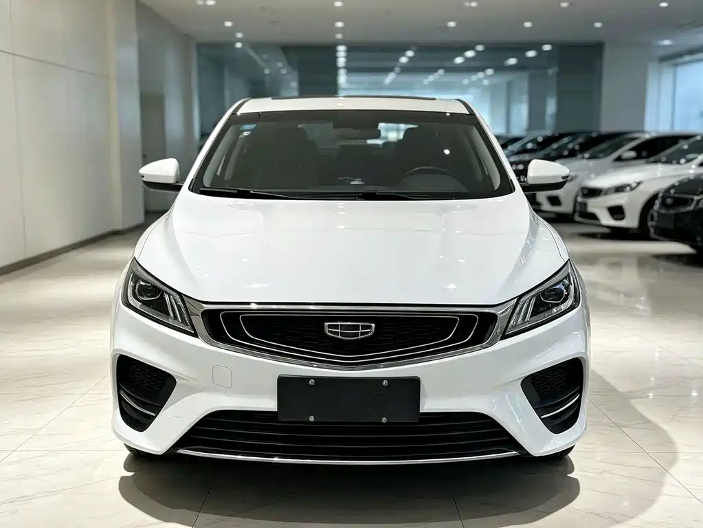 Geely Binrui — фото 2