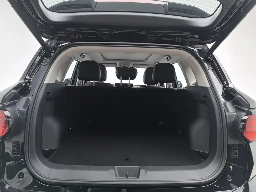 Haval Big Dog PLUS — фото 16