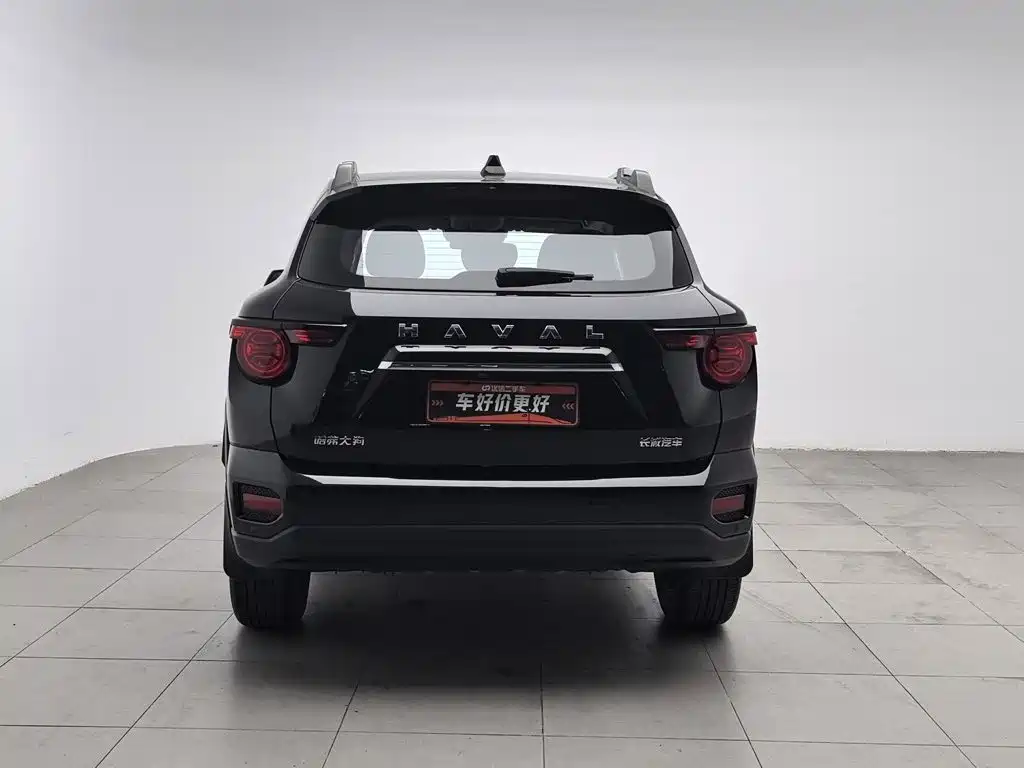 Haval Big Dog PLUS — фото 4