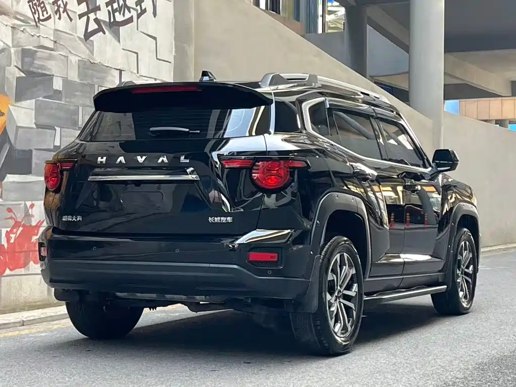 Haval Big Dog PLUS — фото 5