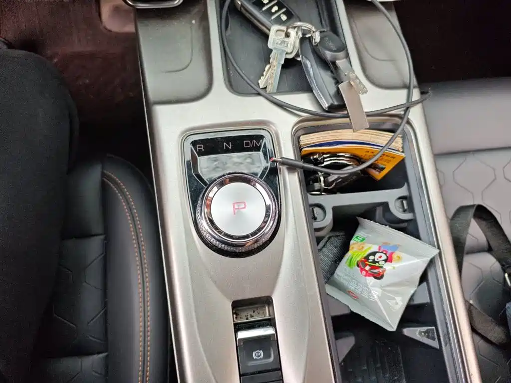 Haval Big Dog — фото 10