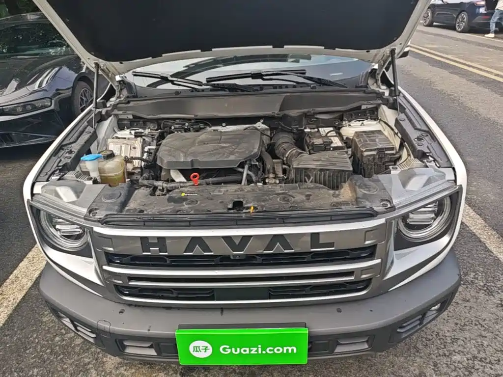 Haval Big Dog — фото 19
