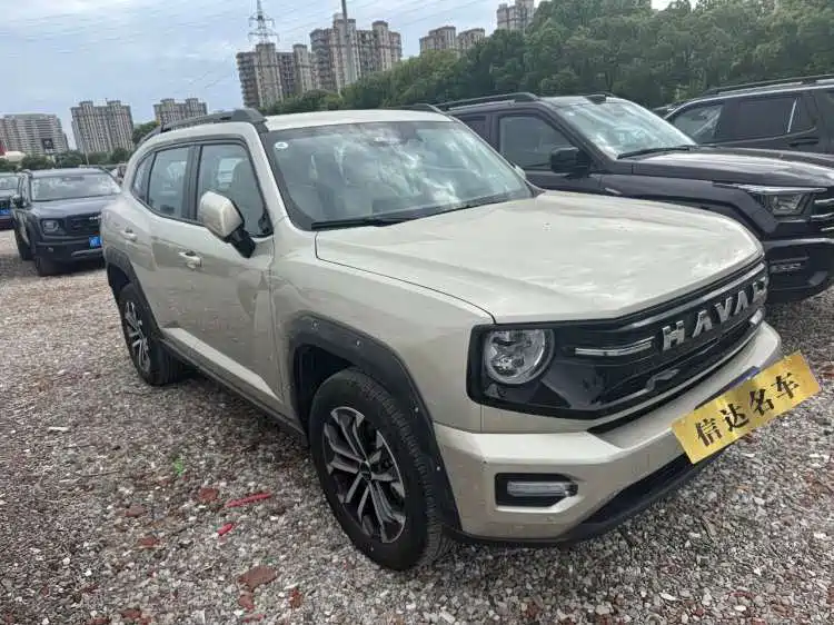 Haval Big Dog PLUS — фото 2