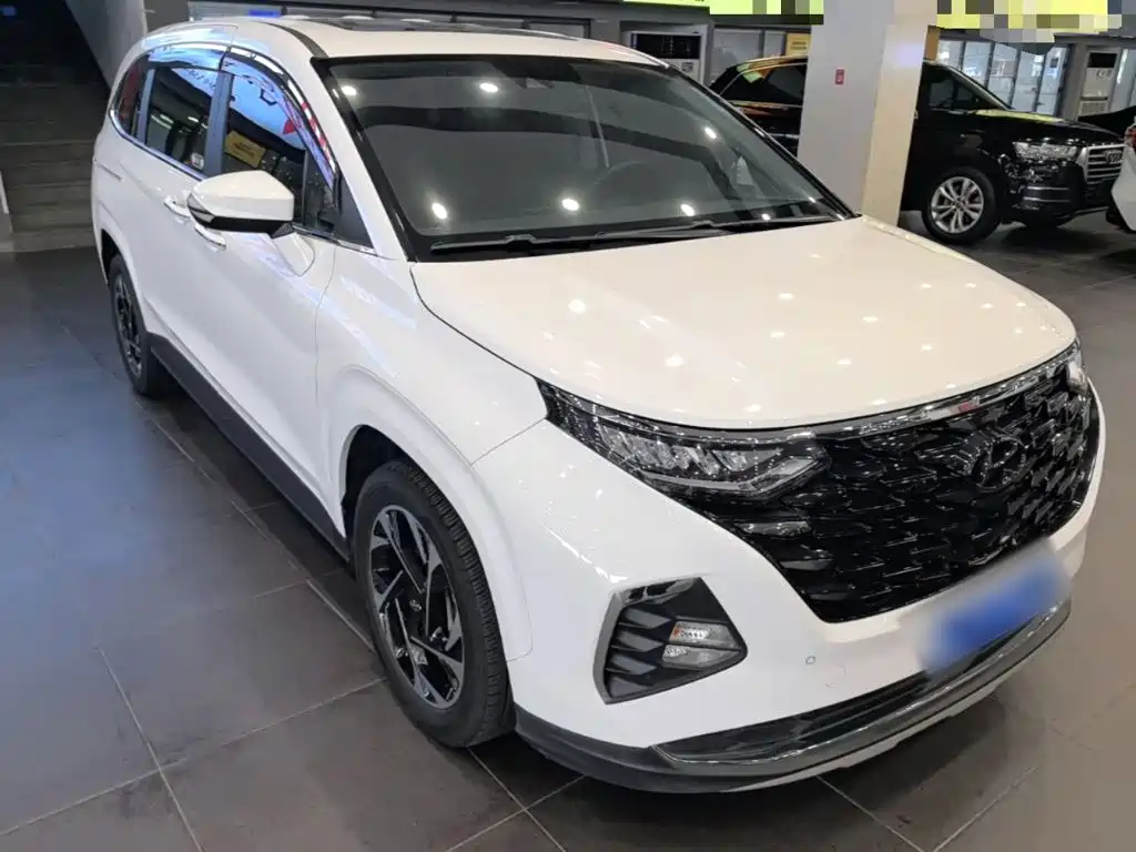 Hyundai Custo — фото 3