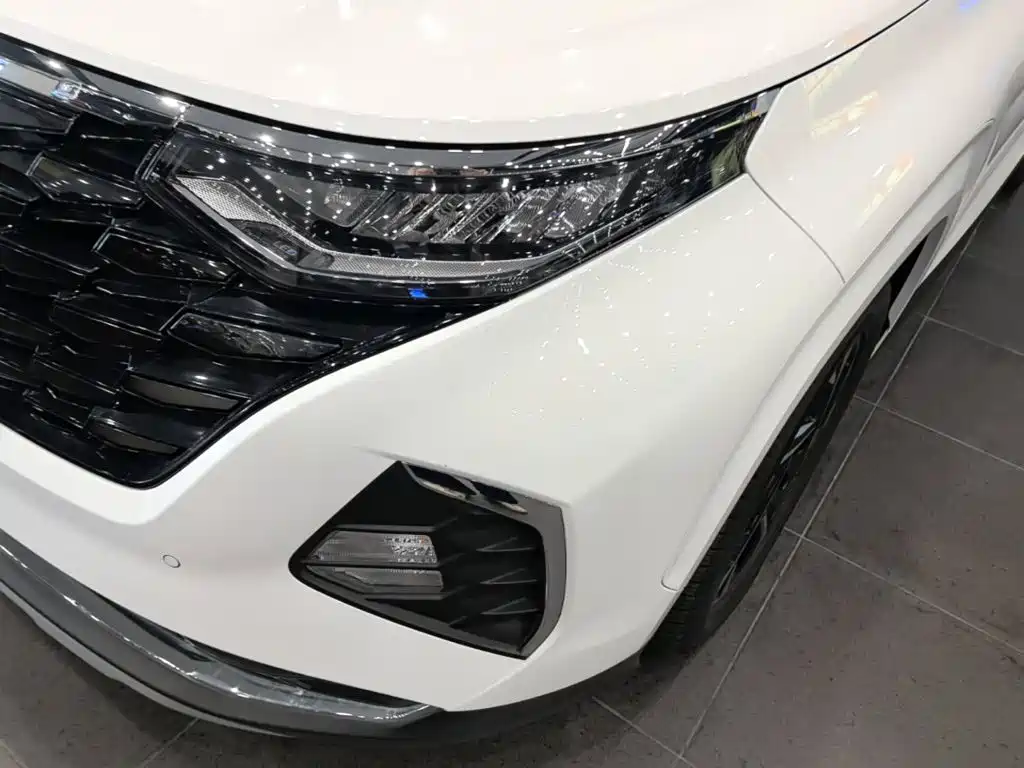 Hyundai Custo — фото 23