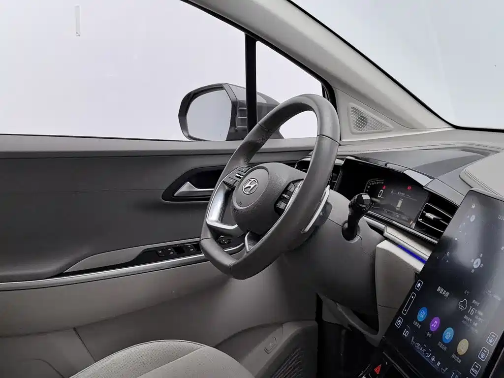 Hyundai Custo — фото 22