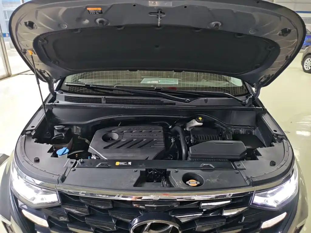 Hyundai Custo — фото 19