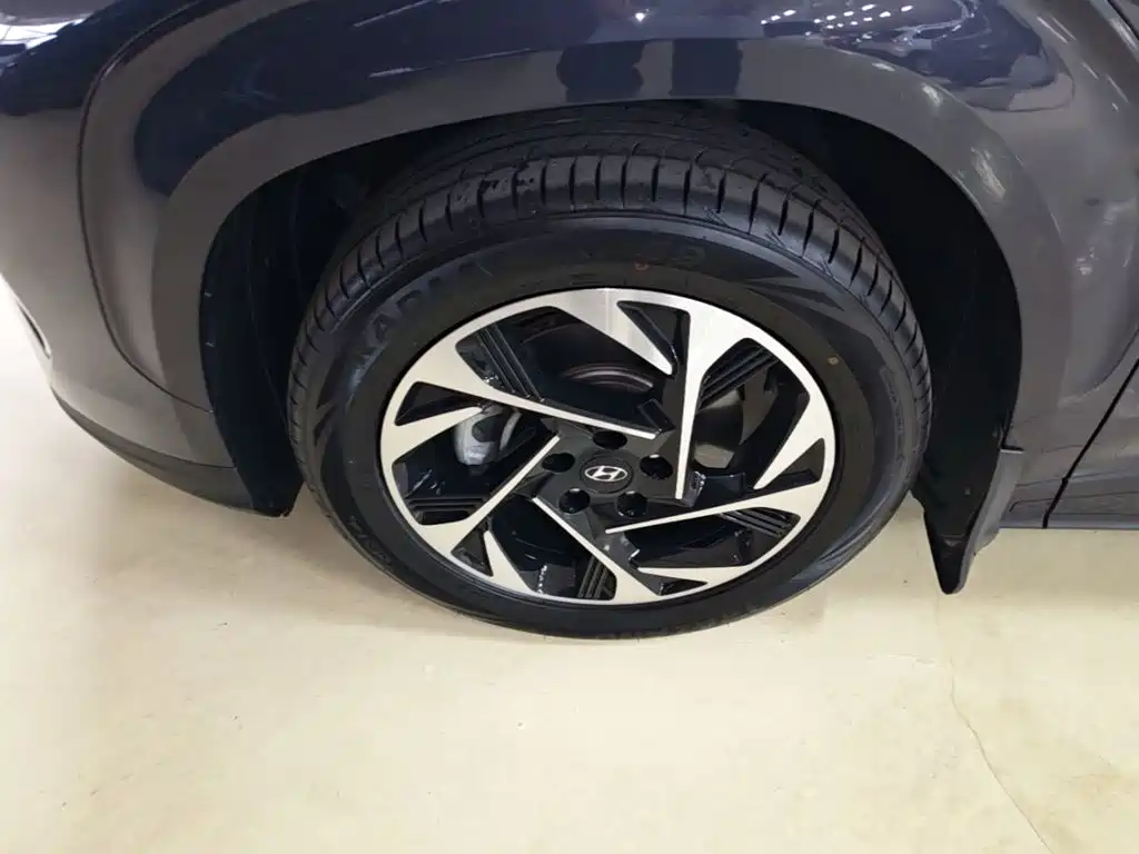 Hyundai Custo — фото 22