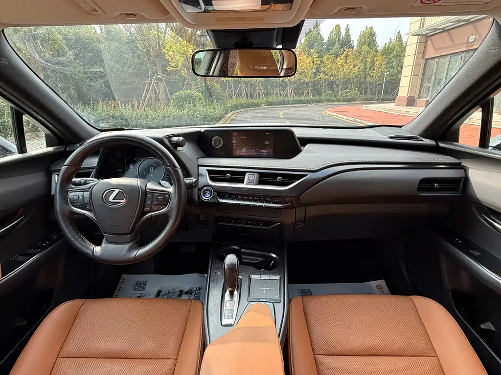 Lexus UX New Energy — фото 5