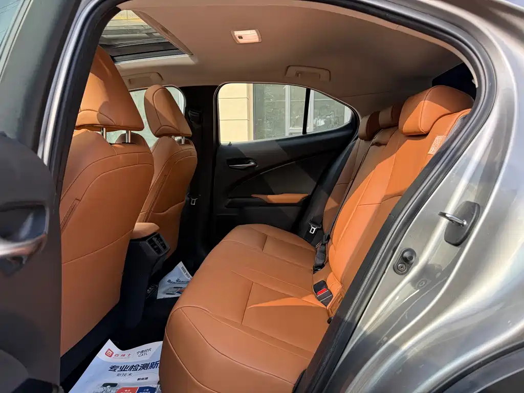 Lexus UX New Energy — фото 6