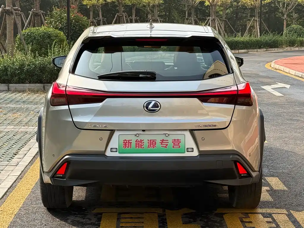 Lexus UX New Energy — фото 8