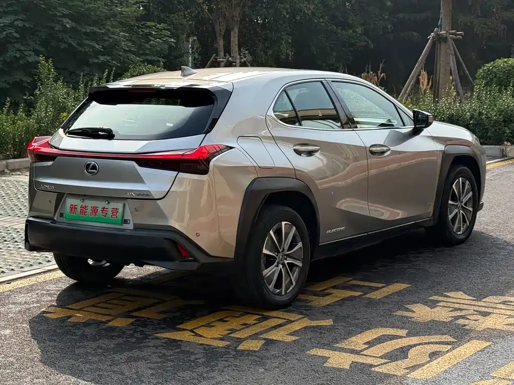 Lexus UX New Energy — фото 9