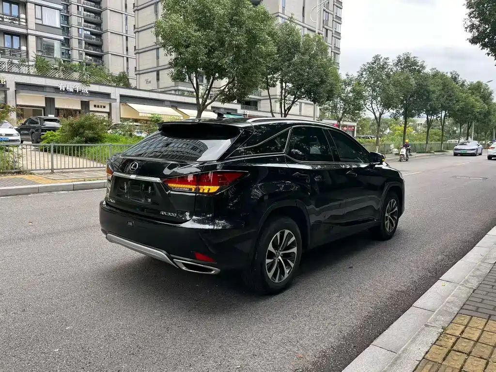 Lexus RX — фото 5