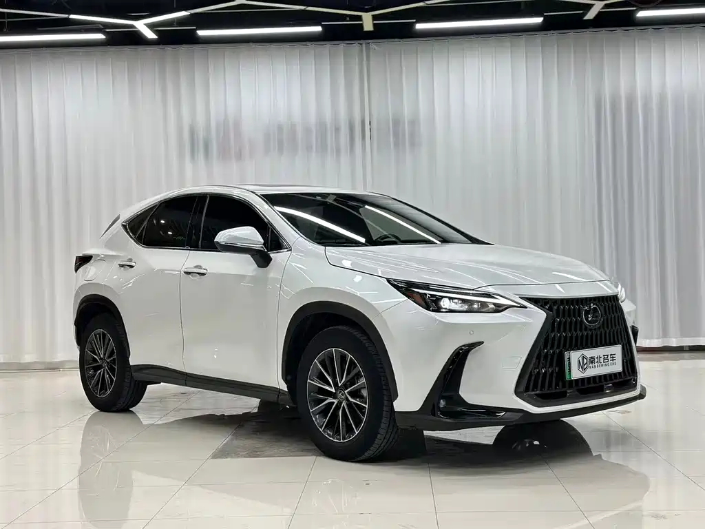 Lexus NX New Energy — фото 2