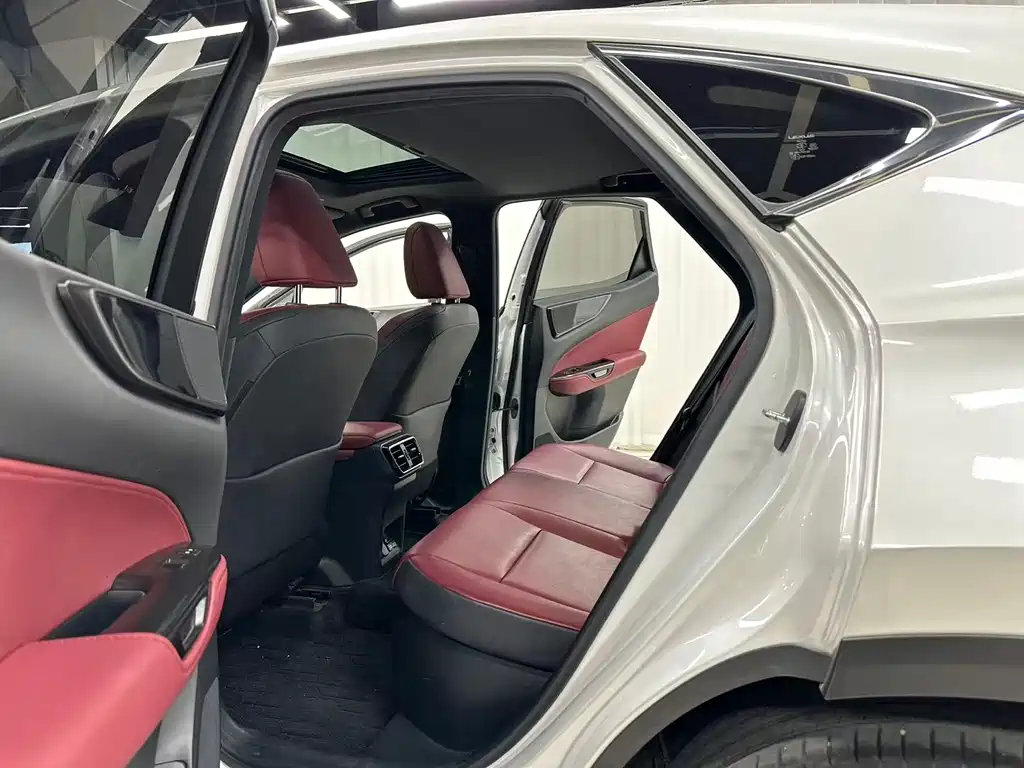 Lexus NX New Energy — фото 9
