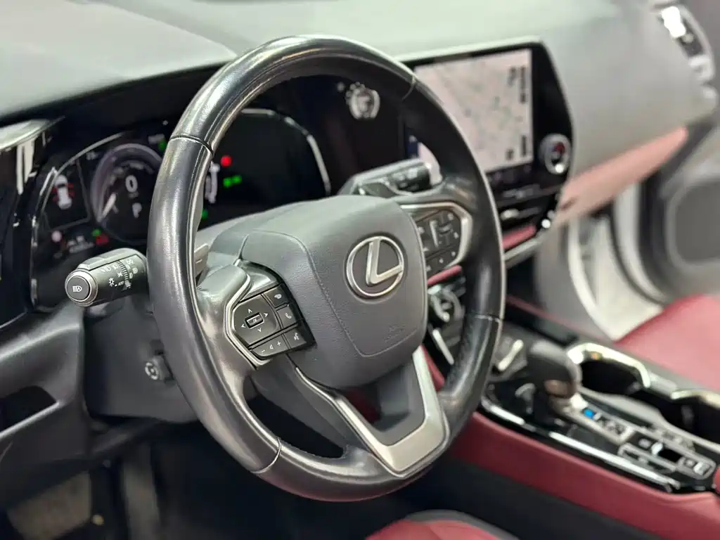 Lexus NX New Energy — фото 10