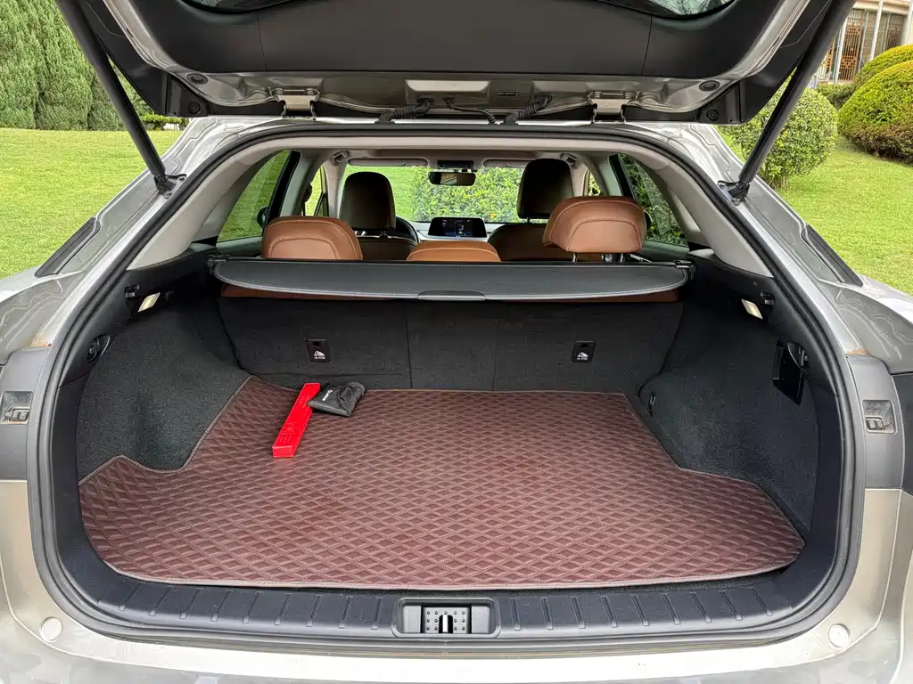 Lexus RX — фото 22