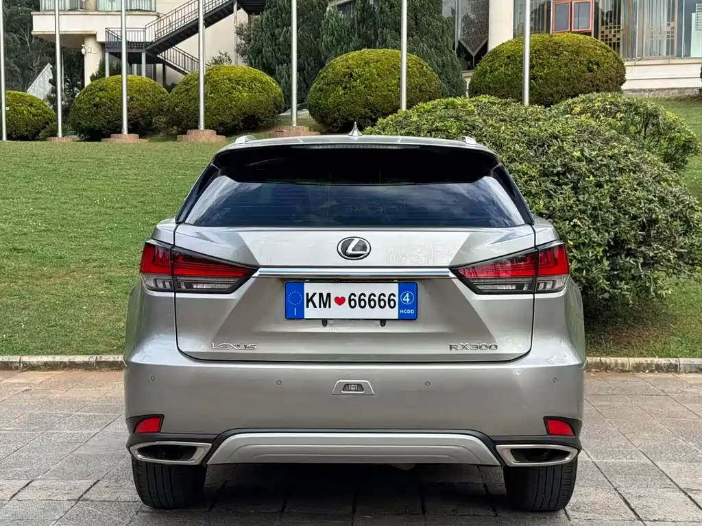 Lexus RX — фото 5