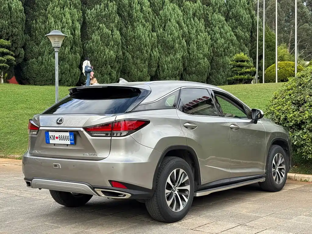 Lexus RX — фото 6