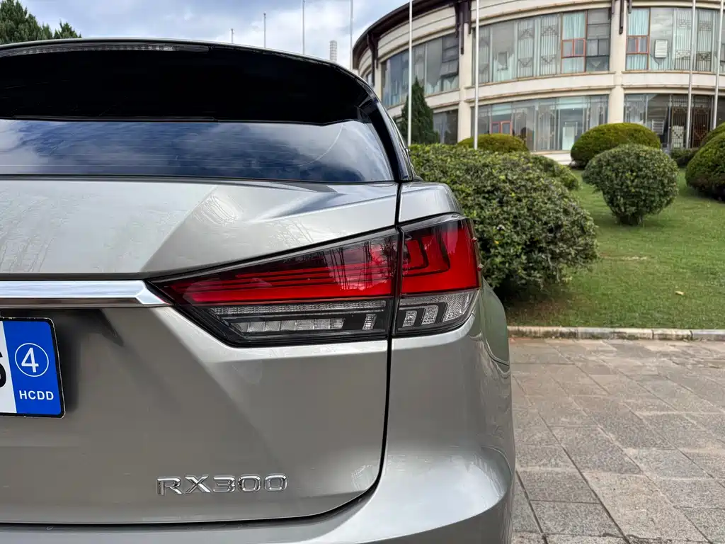 Lexus RX — фото 10