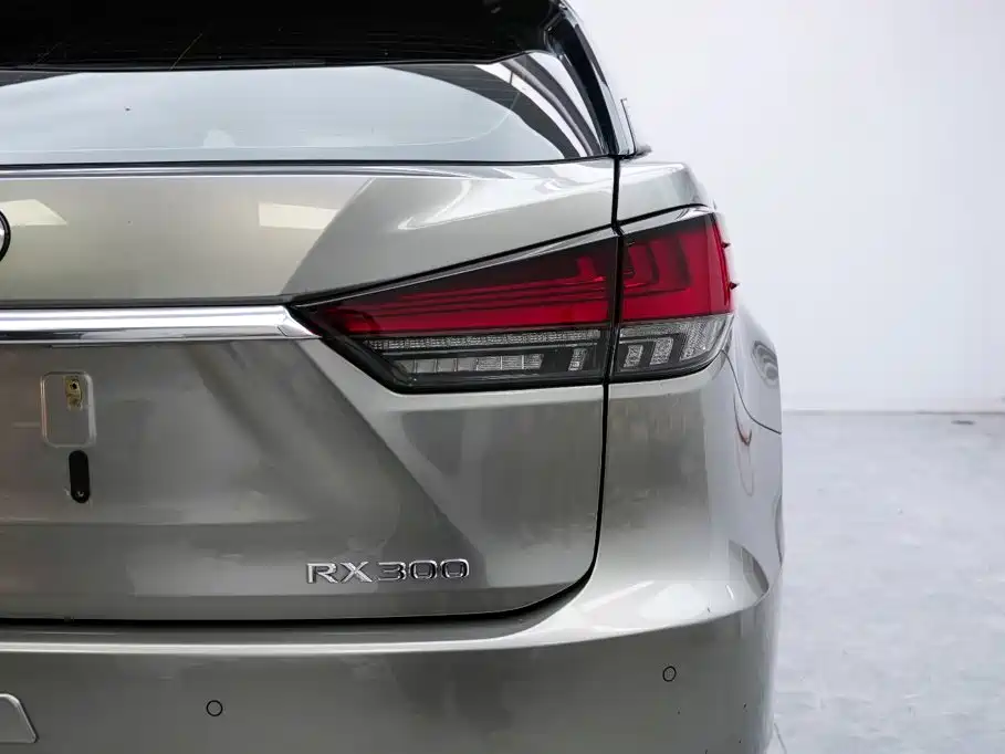 Lexus RX — фото 17