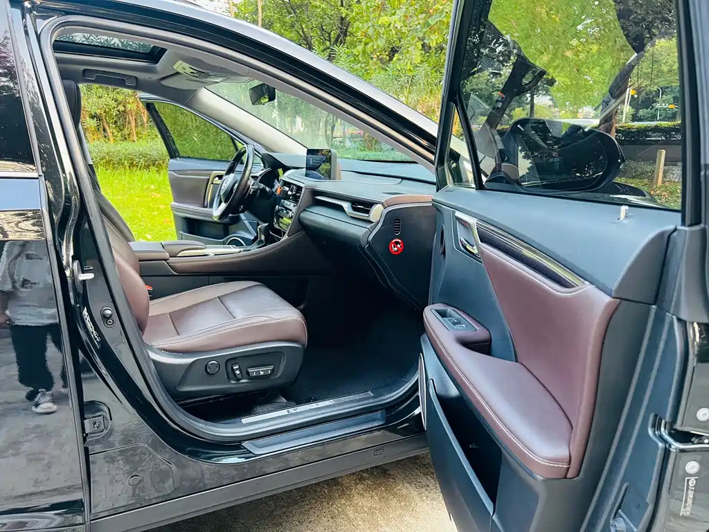 Lexus RX — фото 13