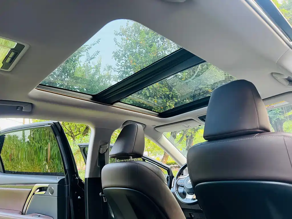 Lexus RX — фото 16