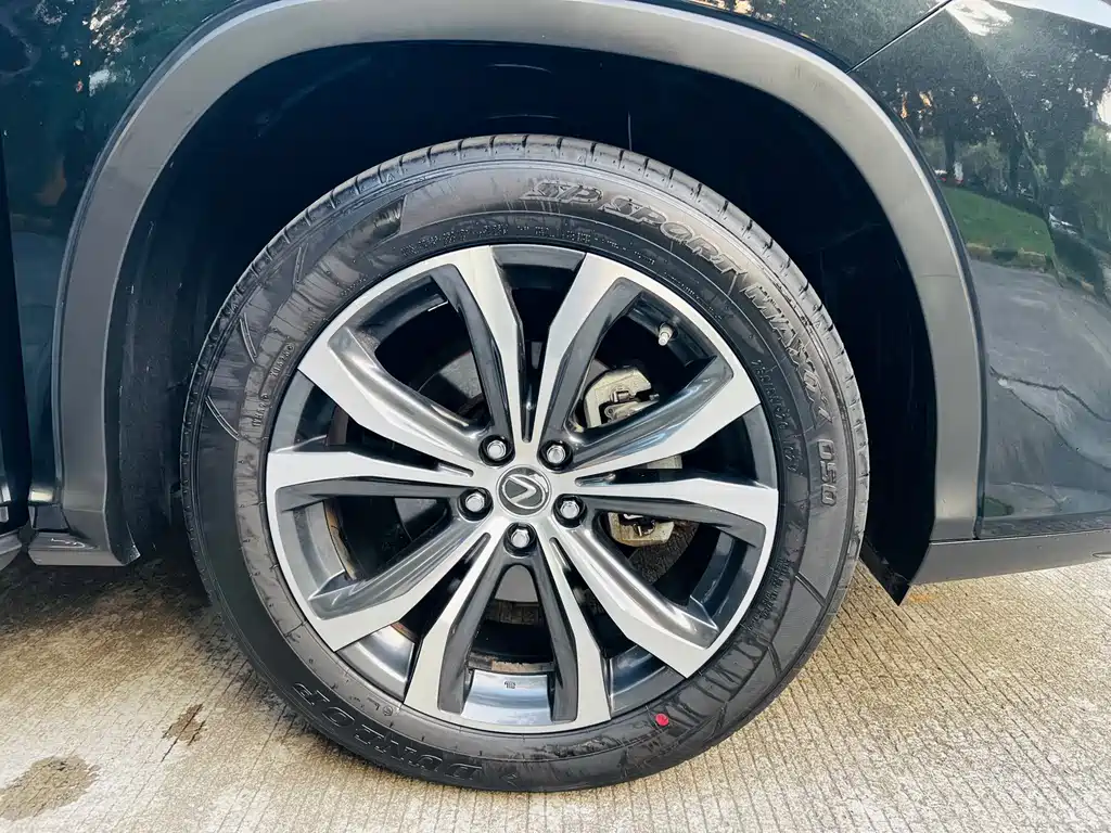 Lexus RX — фото 26