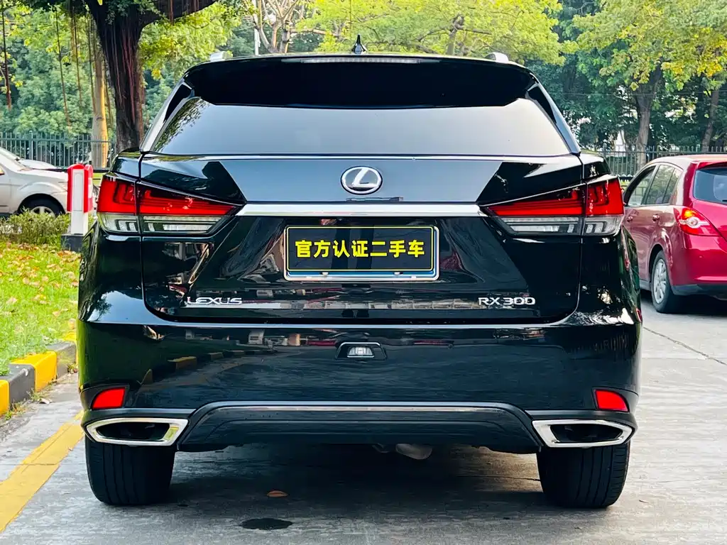 Lexus RX — фото 4