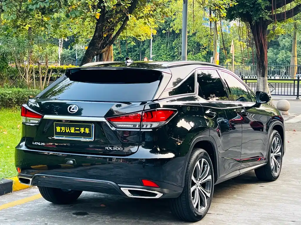 Lexus RX — фото 5