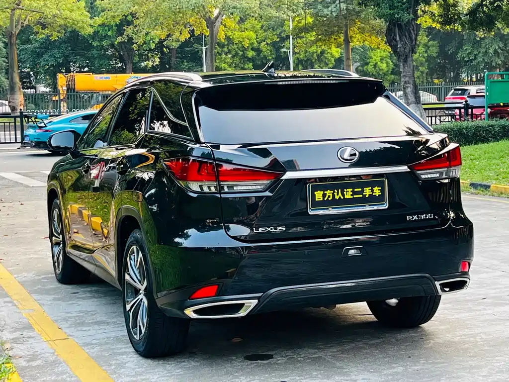 Lexus RX — фото 6
