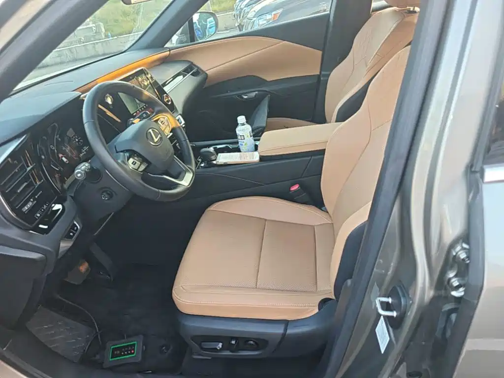 Lexus RX — фото 14