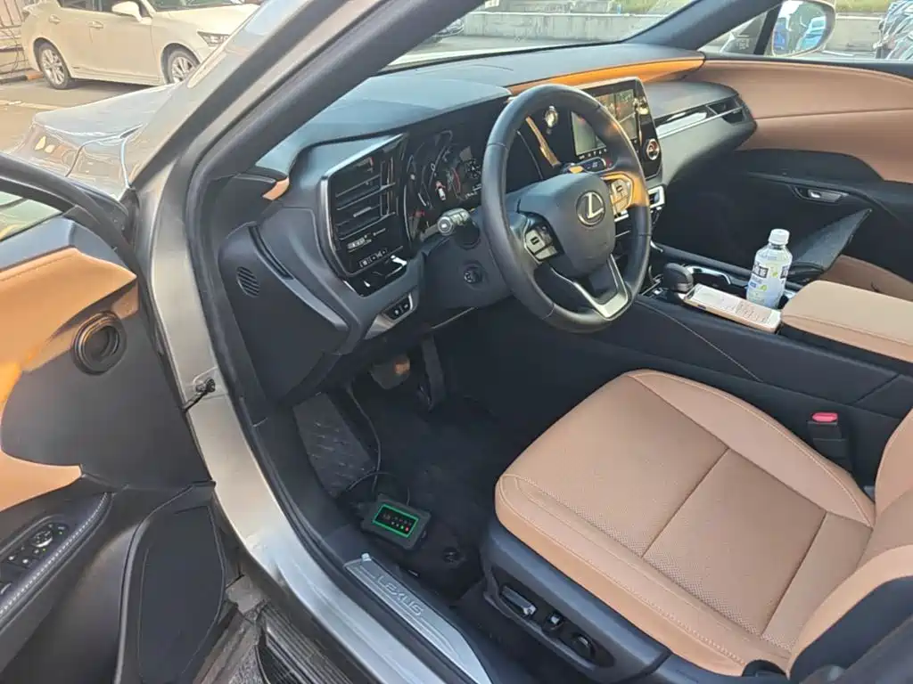 Lexus RX — фото 15