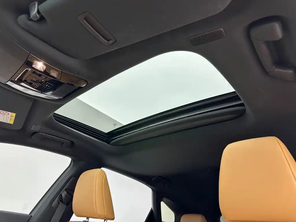 Lexus RX — фото 11