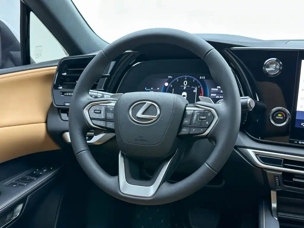 Lexus RX — фото 19