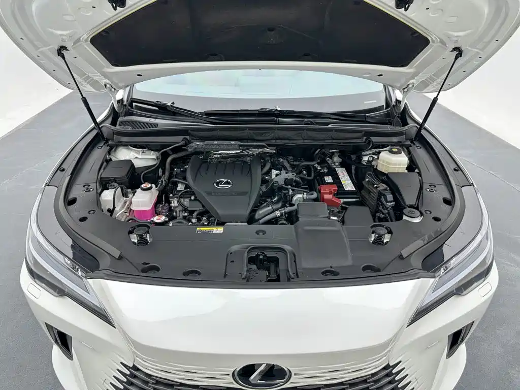Lexus RX — фото 23