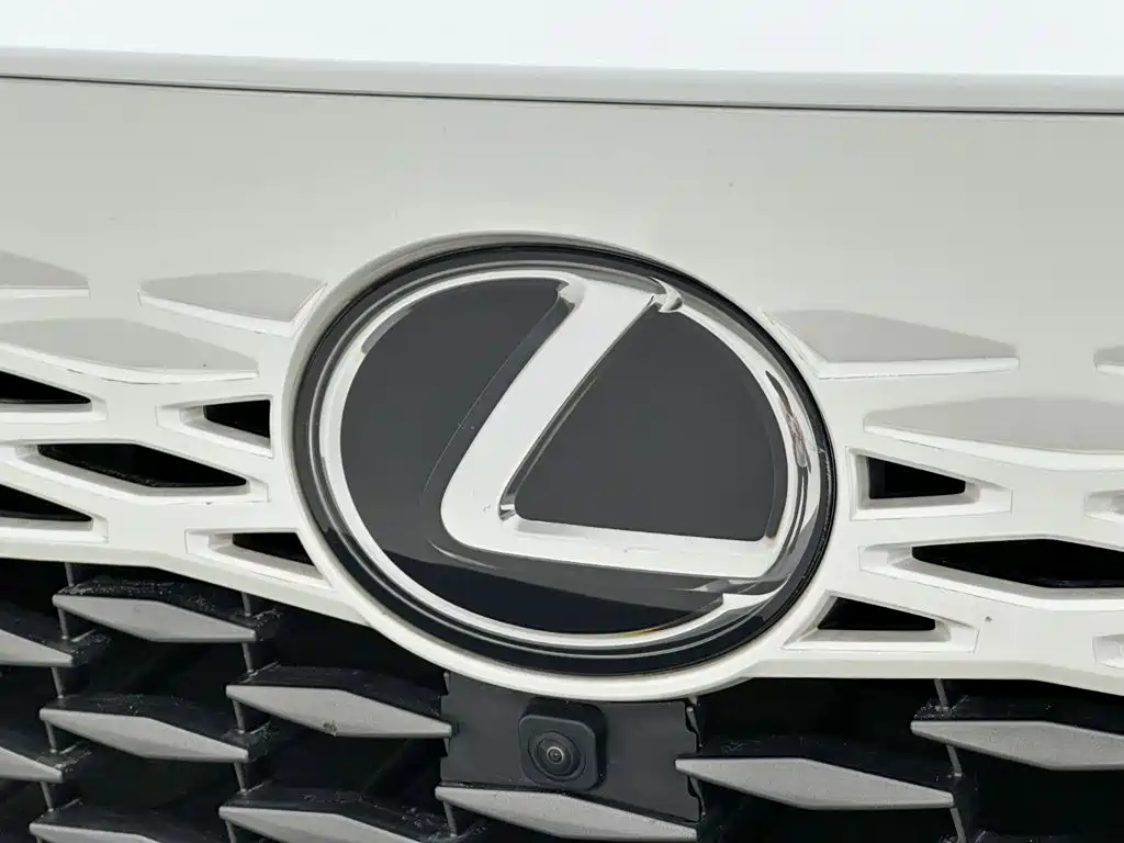 Lexus RX — фото 24