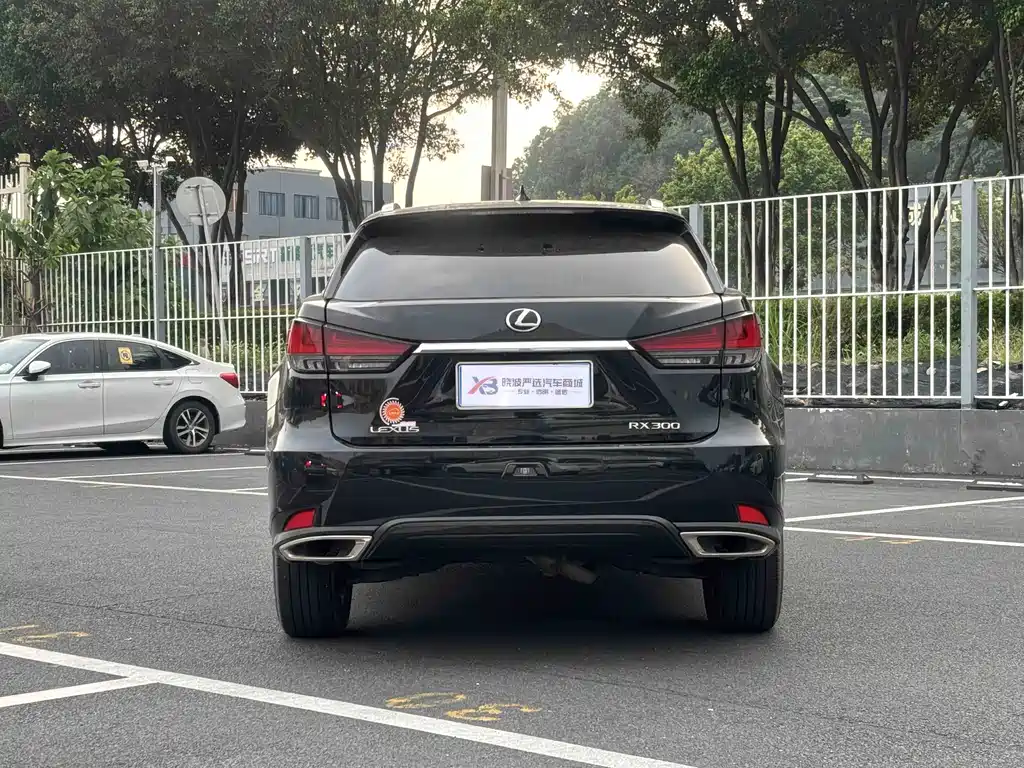 Lexus RX — фото 6