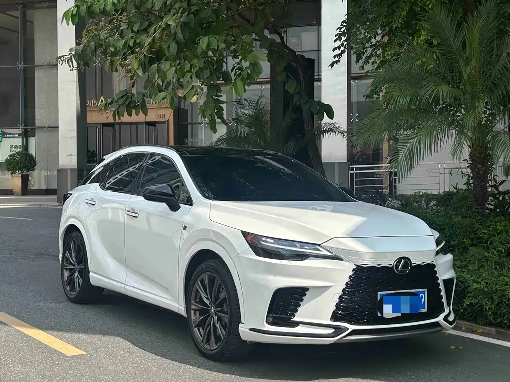 Lexus RX — фото 8
