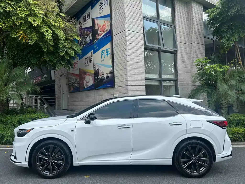 Lexus RX — фото 10