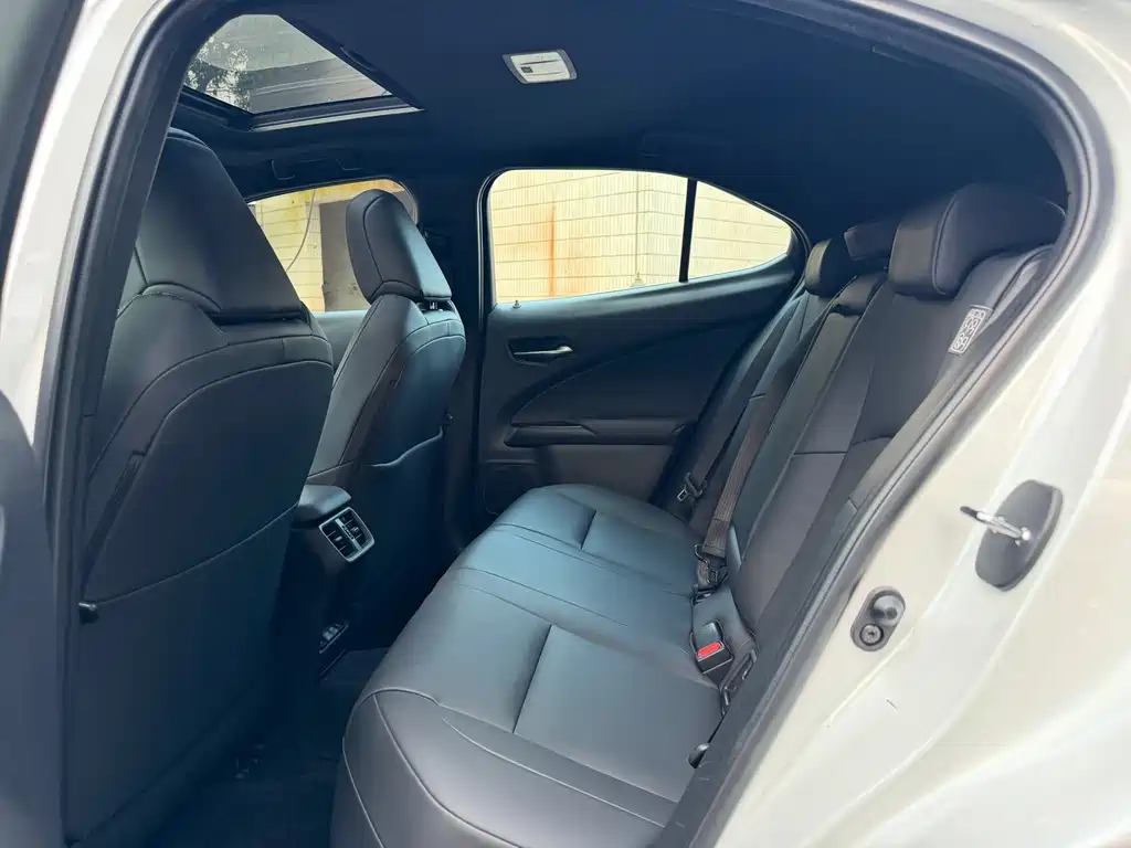 Lexus UX New Energy — фото 5