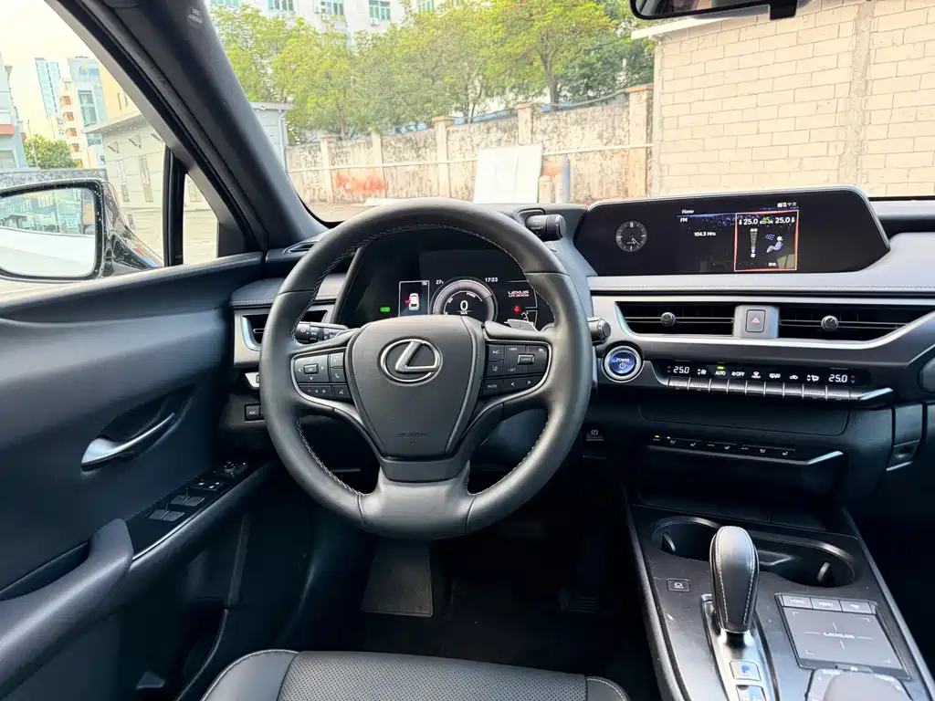 Lexus UX New Energy — фото 7